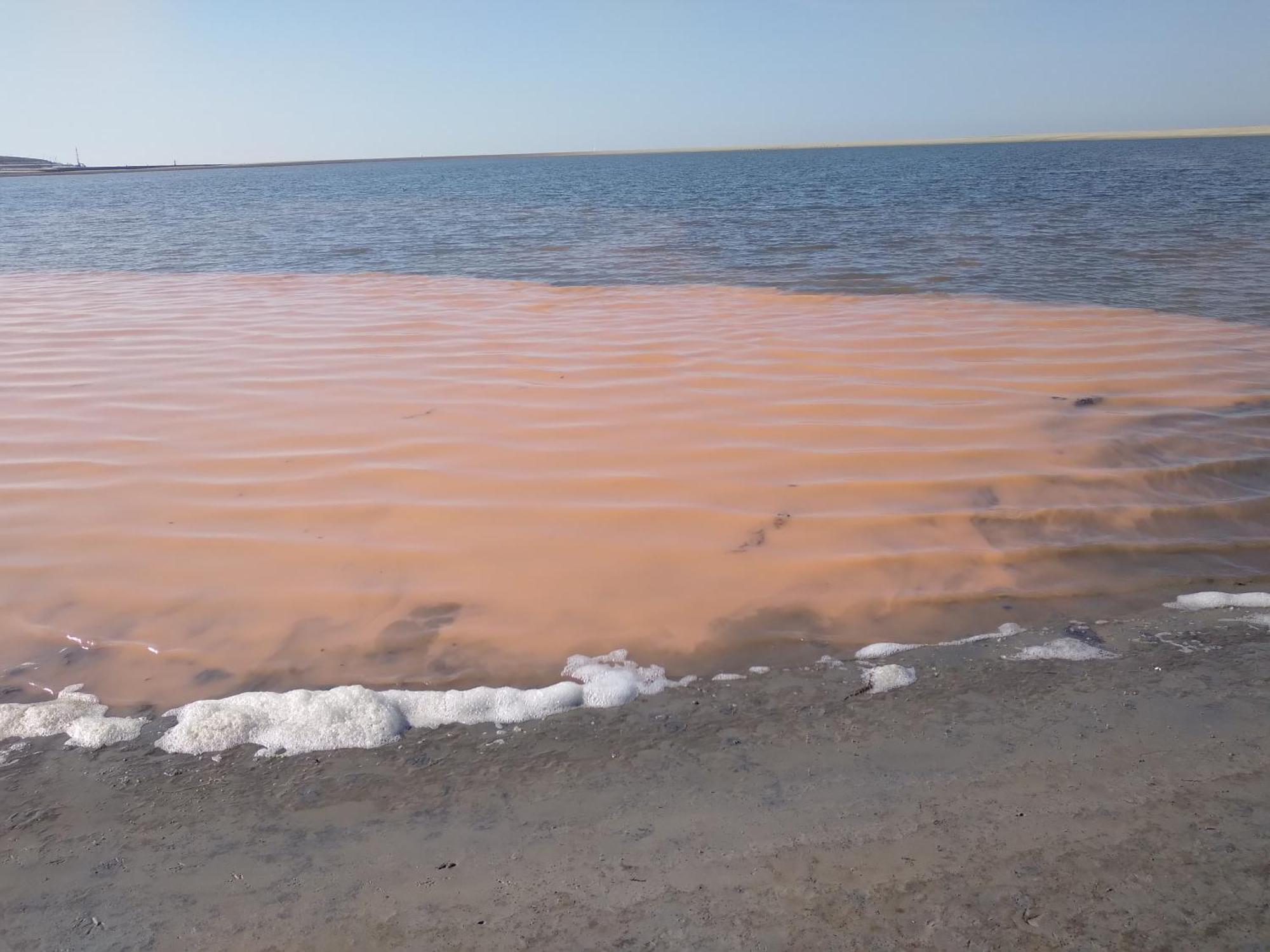 Huus Moevchen Διαμέρισμα Borkum Εξωτερικό φωτογραφία